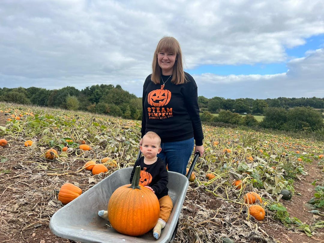 PYO Pumpkins at Lower Drayton Farm | Staffordshire - image 1