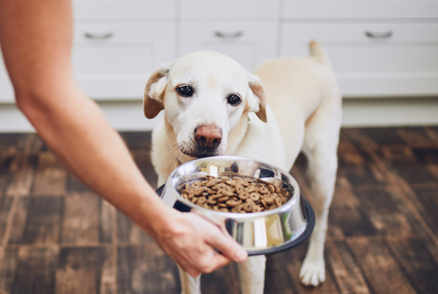 U.K. Pet Food Bank