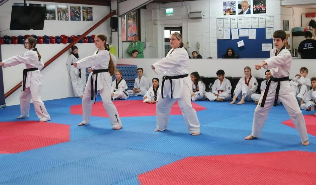 National Taekwondo Club - image 1