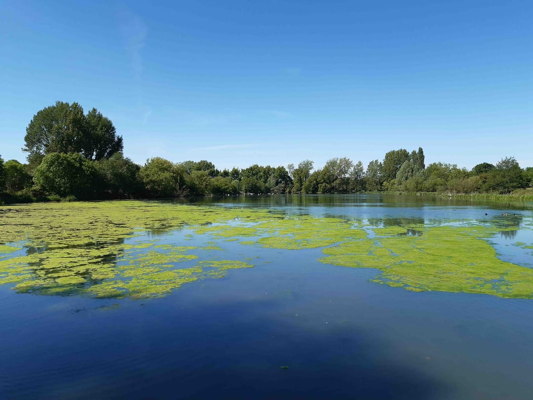 Wyken Slough Nature Reserve - image 1