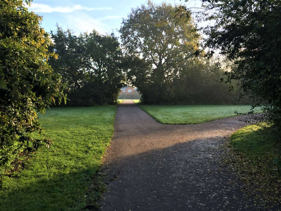 Lavender Hall Park - image 1