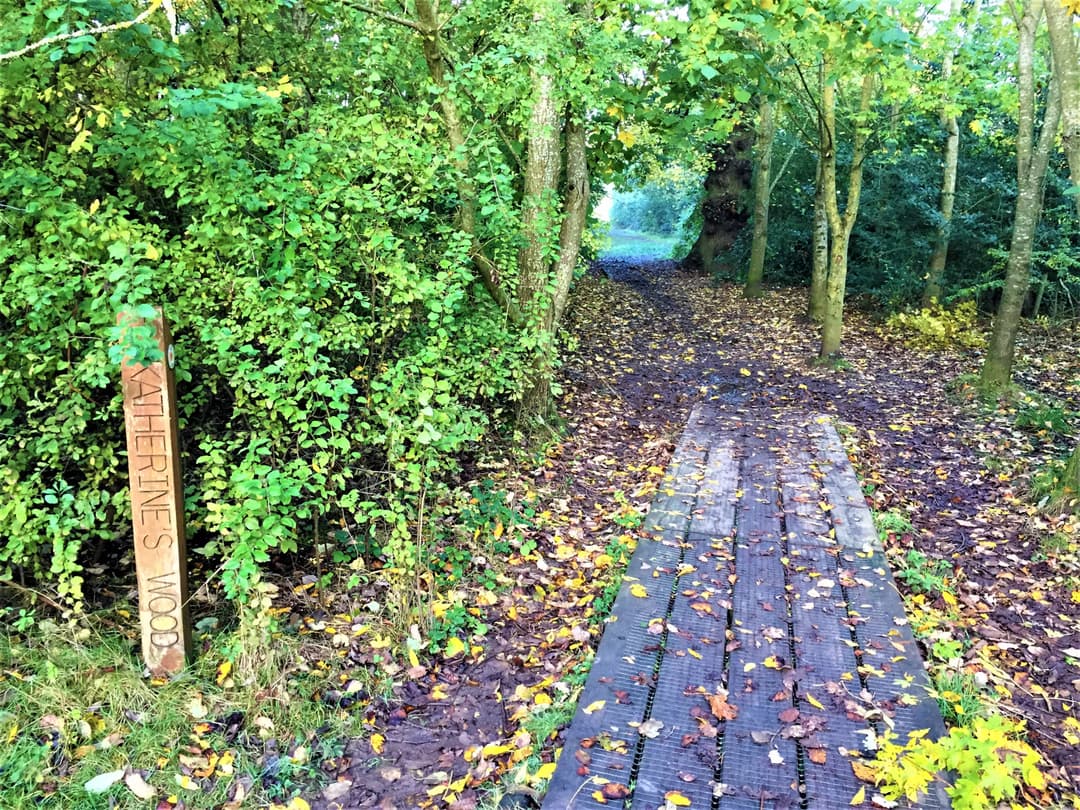 Lavender Hall Park - image 2