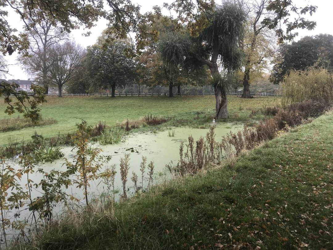 Caludon Castle Park - image 1