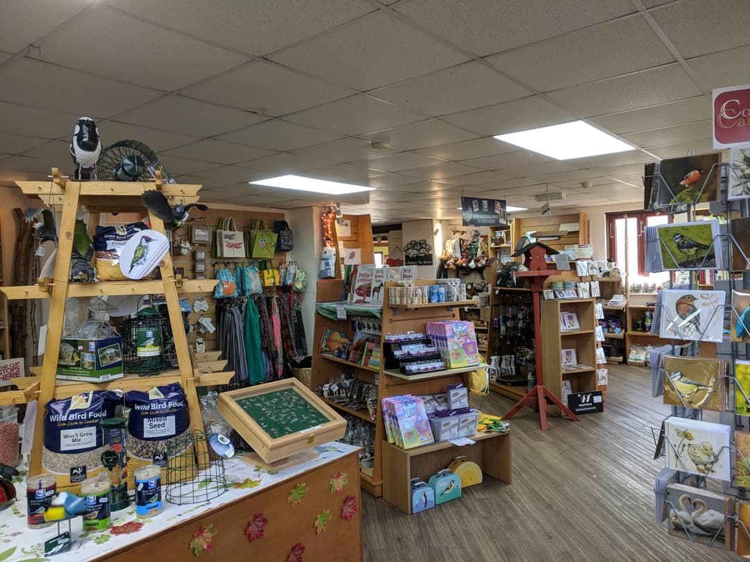 Brandon Marsh Nature Reserve - image 1