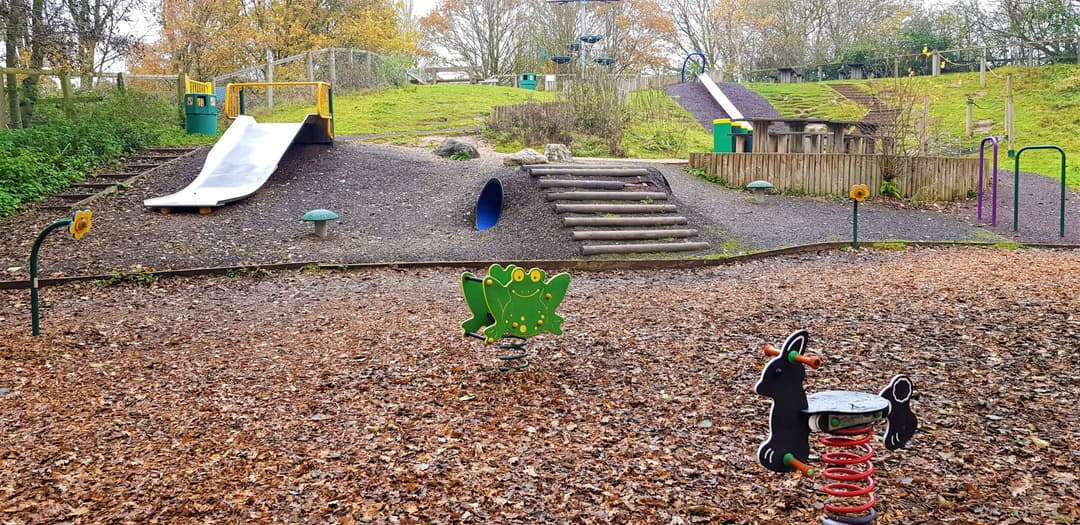 Ryton Pools Country Park - image 1