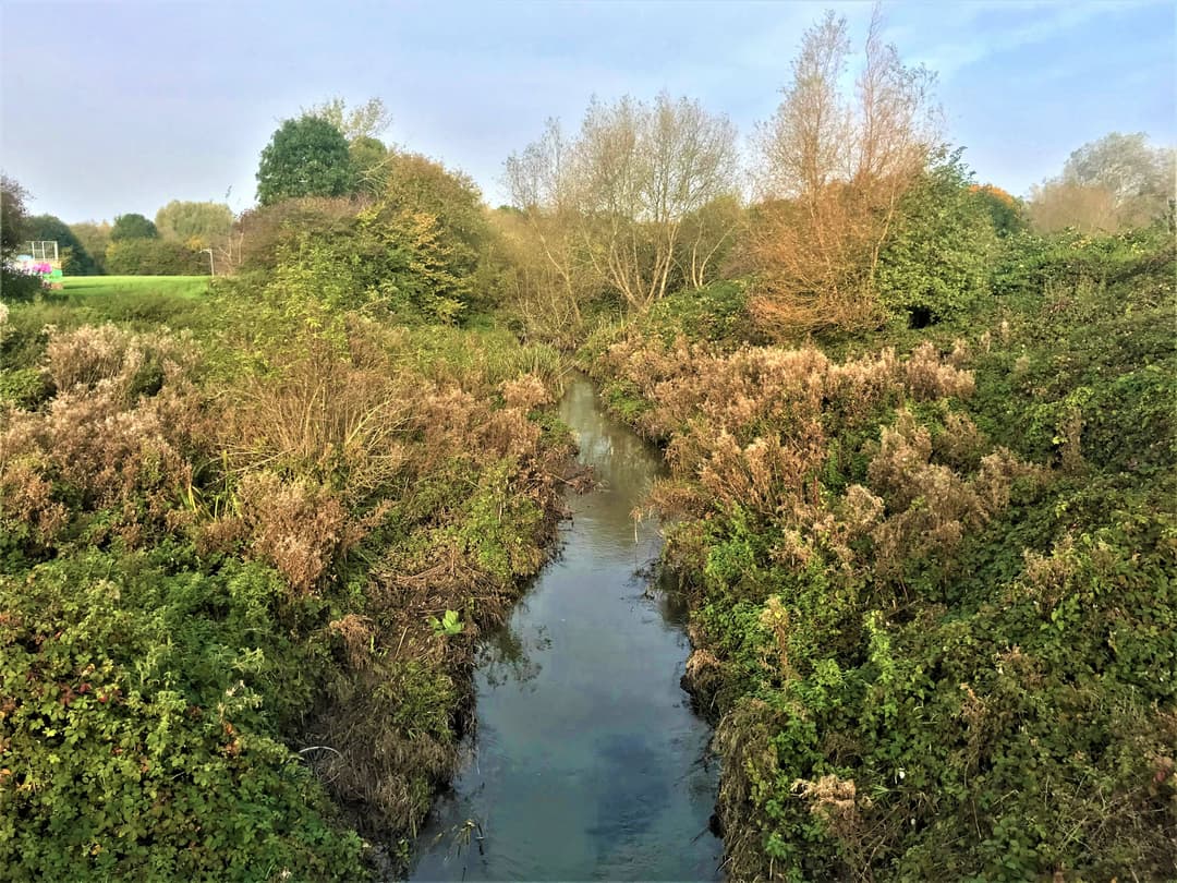 Longford Park - image 2