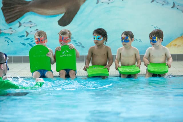 Turtle Tots | Jaguar Sports Club - image 3